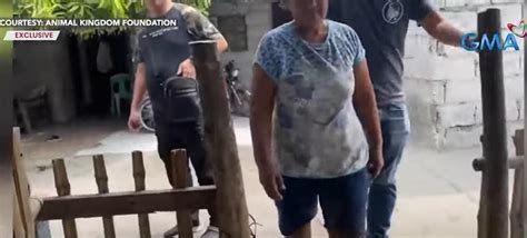 nag pakantot sa aso|Babae, arestado sa Tarlac sa pagkatay umano ng .